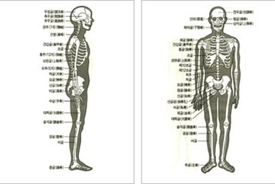 바른자세 옆모습과 앞모습 비교